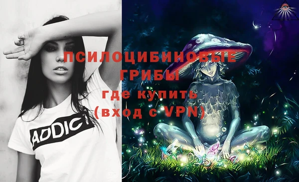 Альфа ПВП Козельск