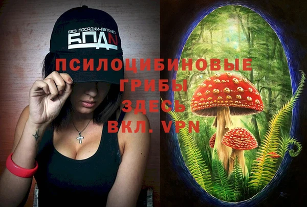 не бодяженный Кодинск