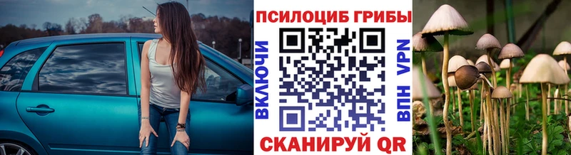 Купить  Лангепас  Галлюциногенные грибы Magic Shrooms 