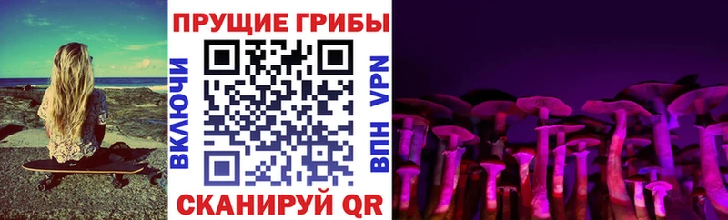 Псилоцибиновые грибы Cubensis Лангепас
